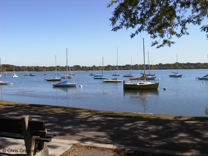 Photo of Sailboats Moored on Lake Harriet(1007)