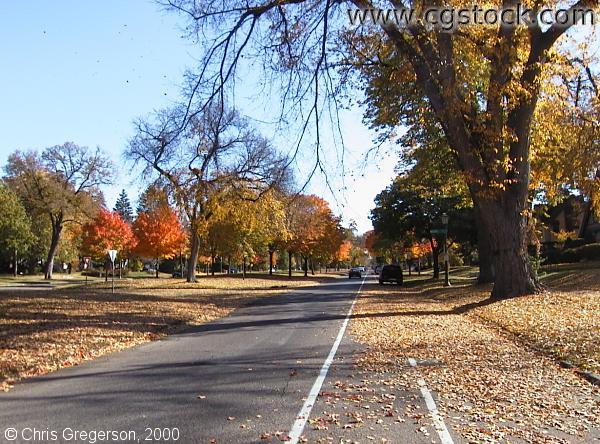 Photo of Summit Avenue from Prior Avenue(1127)