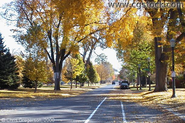 Photo of Summit Avenue from Prior Avenue(1128)