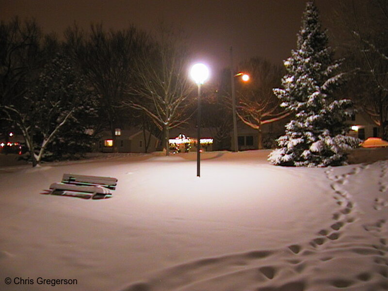 Photo of Pershing Park at Night(1152)