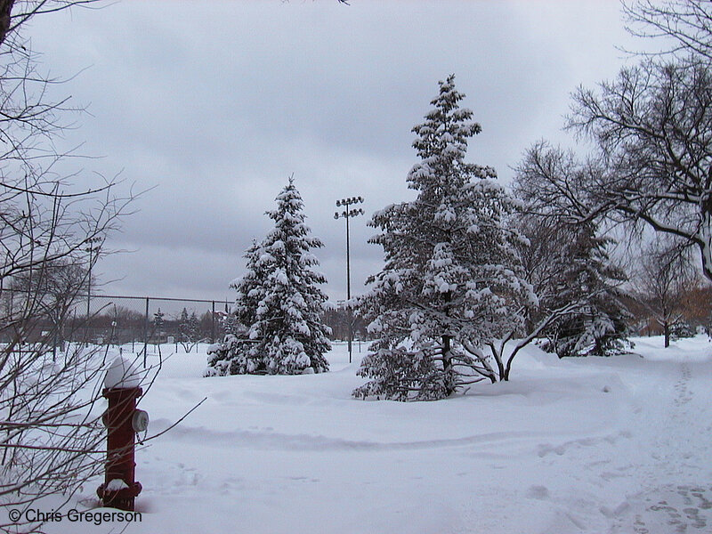 Photo of Lynnhurst Park in Winter(1182)