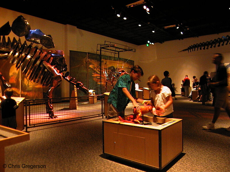 Photo of Dylan and Kaitlin at the Science Museum(1348)