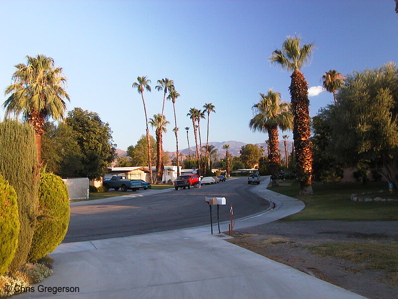 Photo of Marigold Drive in Palm Desert(1537)