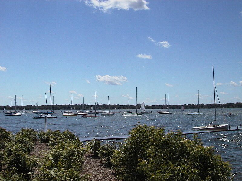 Photo of Sailboats on Lake Calhoun(1624)