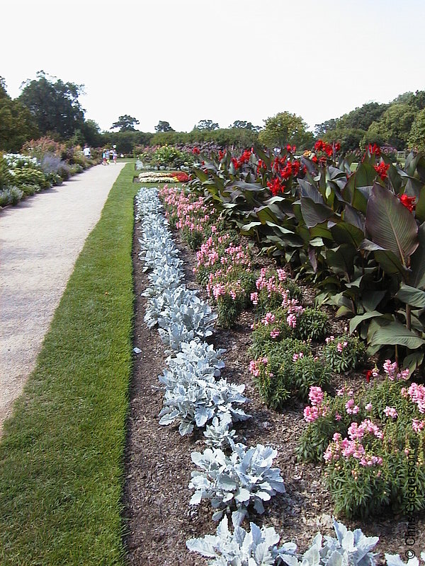 Photo of Lyndale Park Flower Garden(1672)