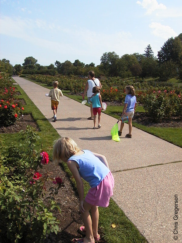 Photo of Lyndale Park Rose Garden(1673)