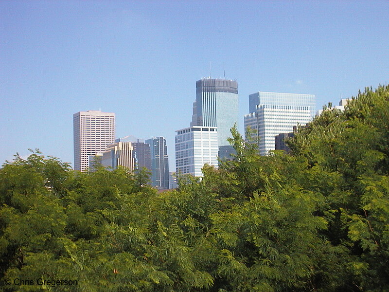 Photo of Skyline Behind Trees(1677)