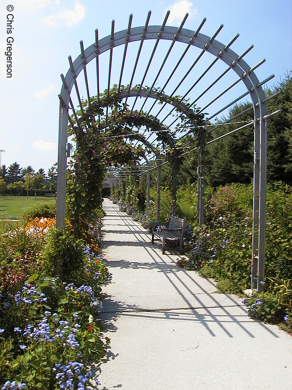 Photo of Grossman Arbor and Flower Garden(1680)