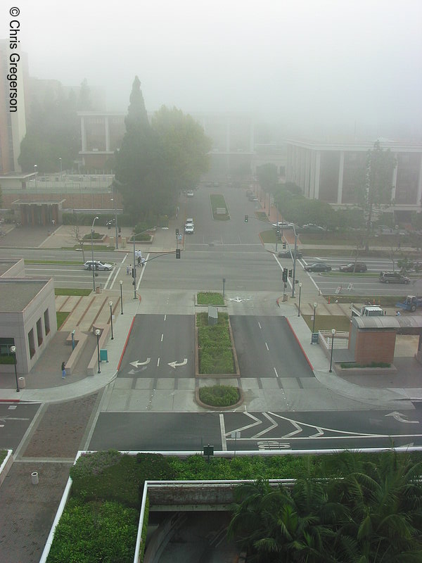 Photo of UCLA Medical Plaza(1724)