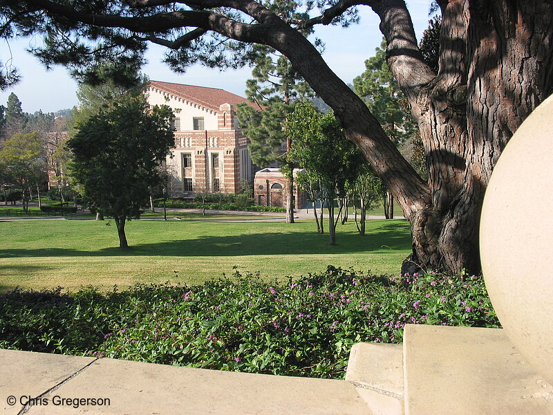 Photo of UCLA Men's Gym(1731)