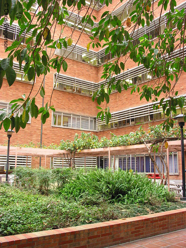 Photo of UCLA Medical Center Courtyard(1742)