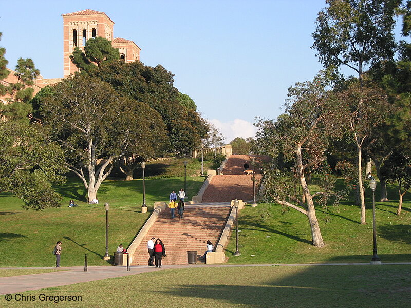 Photo of Janss Steps at UCLA(1770)