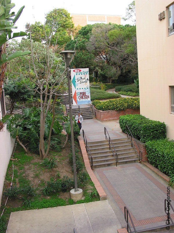 Photo of Stairs to Portola Plaza(1802)