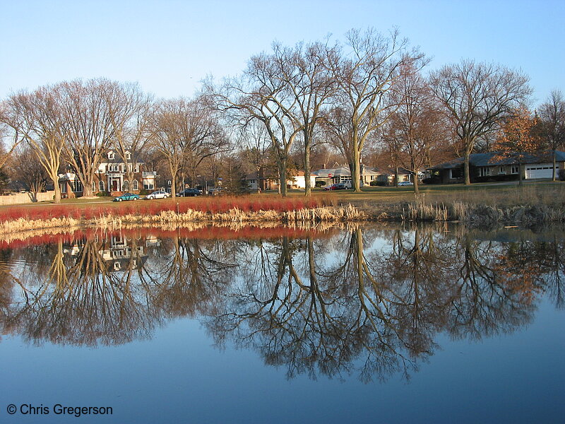 Photo of Reflection in Calhoun Settling Pond(1864)