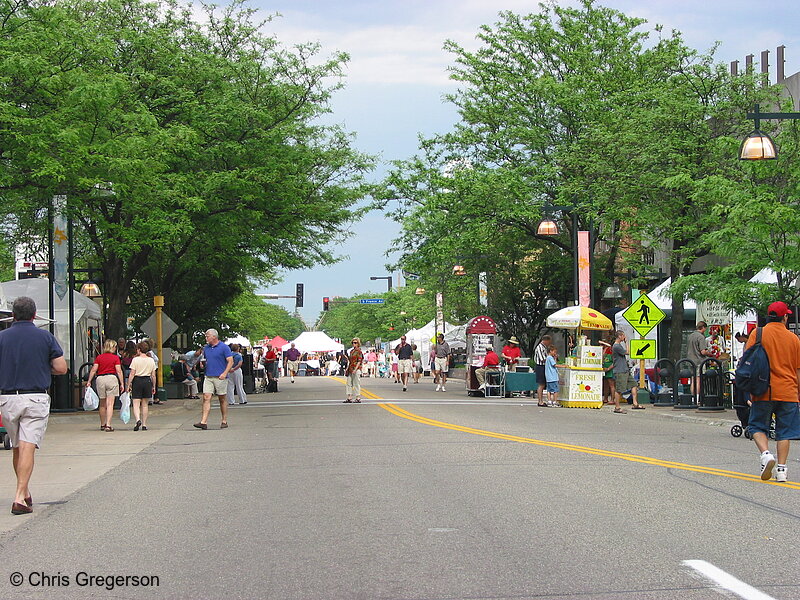 Photo of 50th Street, Edina Art Fair(2041)