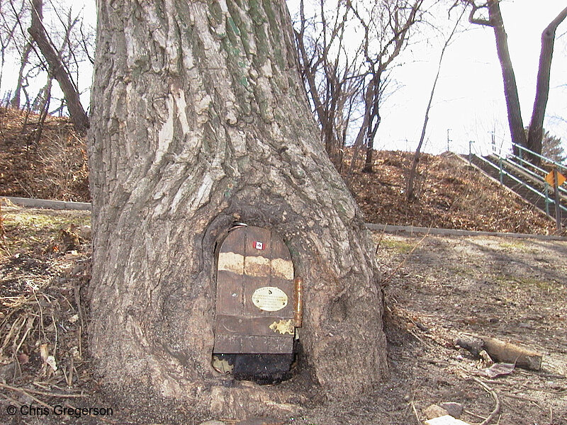 Photo of Lake Harriet Elf Door(213)