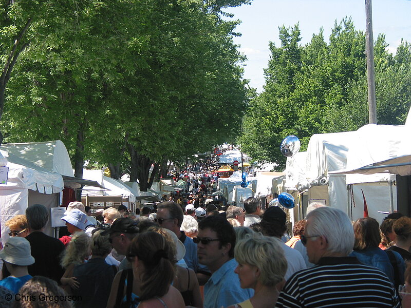 Photo of The Mall During the Uptown Art Fair(2212)