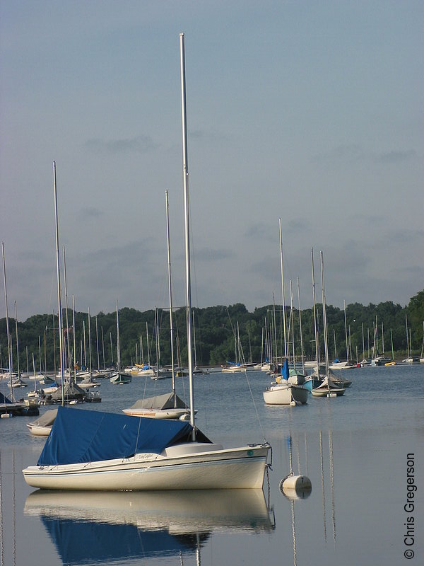 Photo of Moored Sailboat(2231)