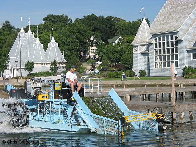 Photo of Milfoil Harvester on Lake Harriet(2236)