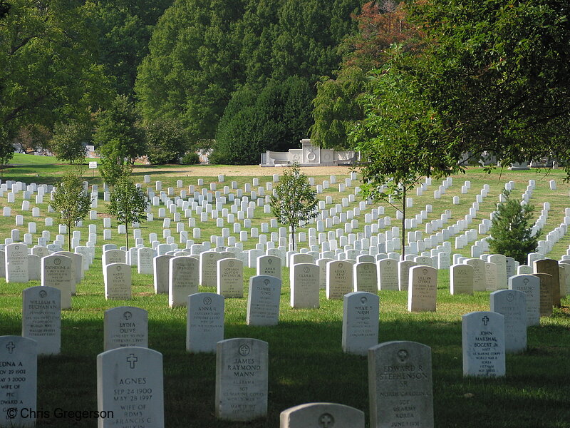 Photo of Arlington National Cemetery(2374)