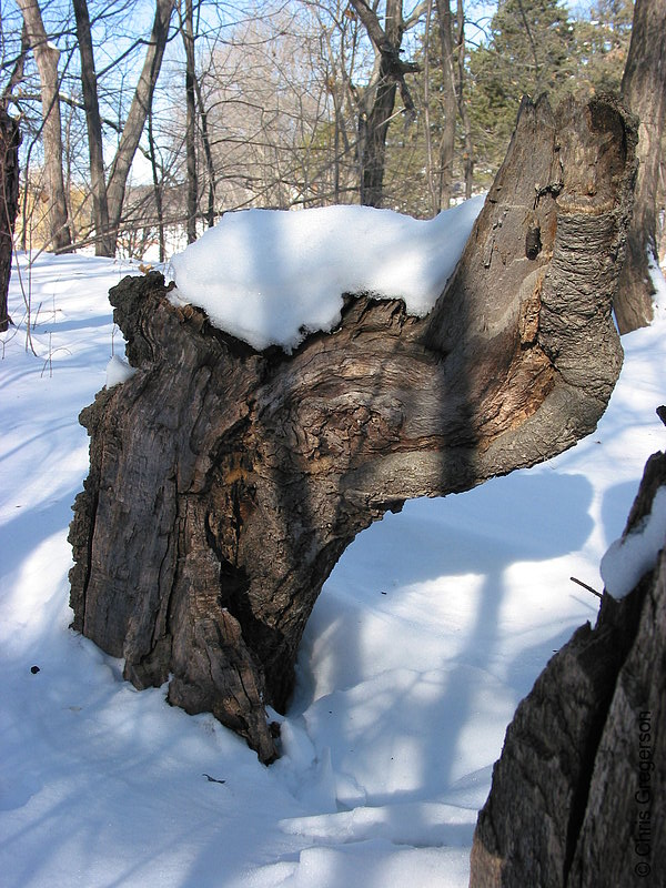 Photo of Wooden Outcropping in Snow(2726)