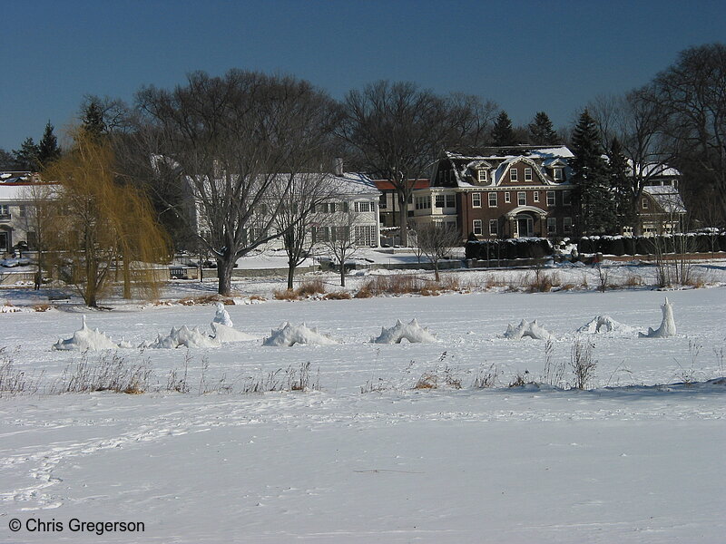 Photo of Lake of the Isles Sea Serpent(2728)