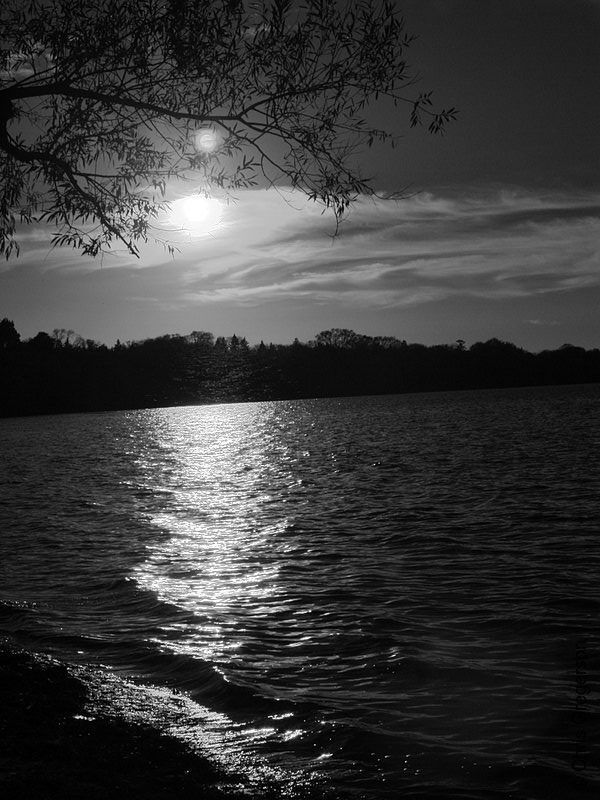 Photo of Waves Glimmering on Lake Harriet(2942)