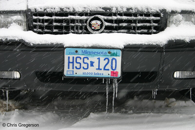 Photo of Minnesota License Plate, Frozen(3038)