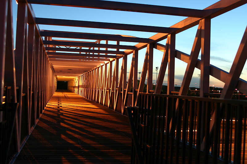 Photo of Irene Hixon Whitney Footbridge at Night(3189)