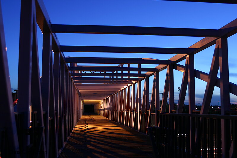 Photo of Irene Hixon Whitney Footbridge(3190)