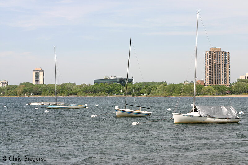 Photo of Sailboats Moored on Lake Calhoun(3195)