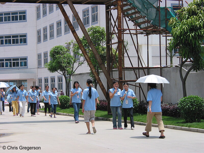 Photo of Chinese Electronics Workers(3239)