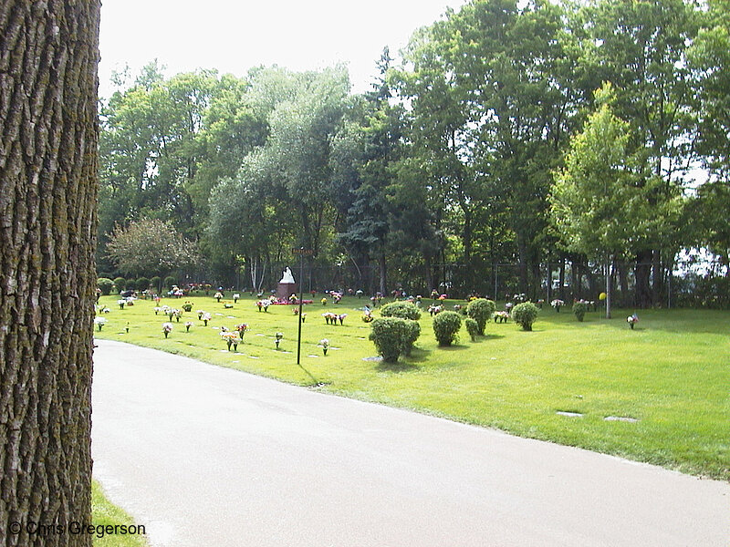 Photo of View of Babyland at Lakewood(387)