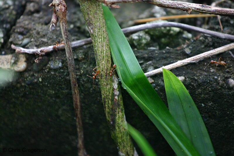 Photo of Fish Ponds in River Valley(4181)