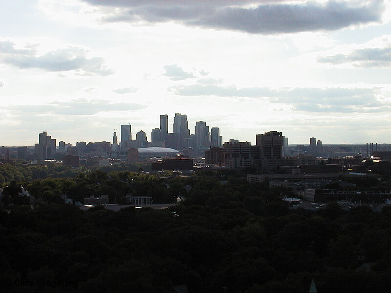 Photo of Downtown Skyline from the Witch's Hat(423)