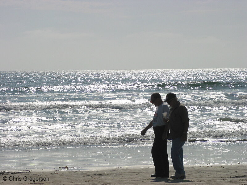 Photo of Friends Strolling on the Beach(4361)