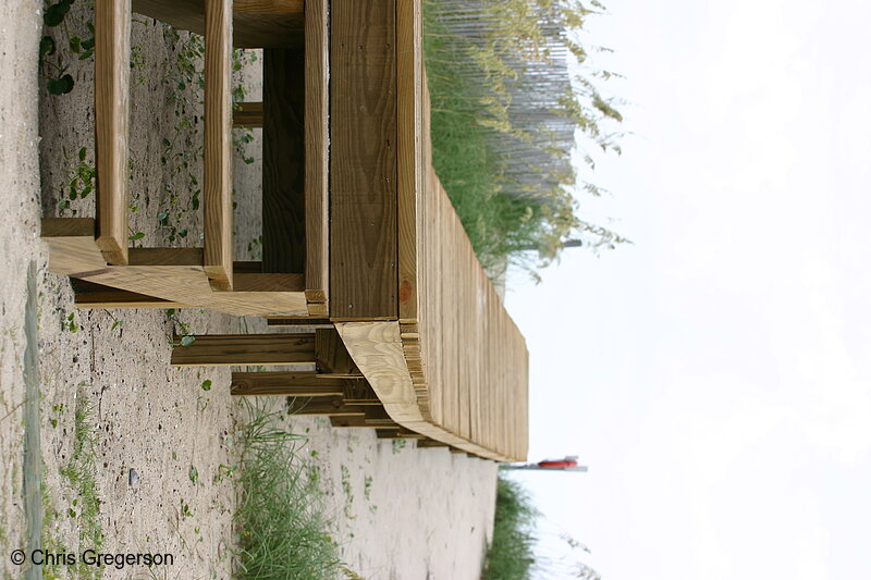 Photo of Boardwalk to the Beach, Bald Head Island, NC(4942)