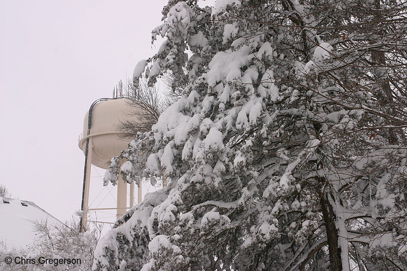 Photo of Water Tower and Trees Covered in Snow(4994)