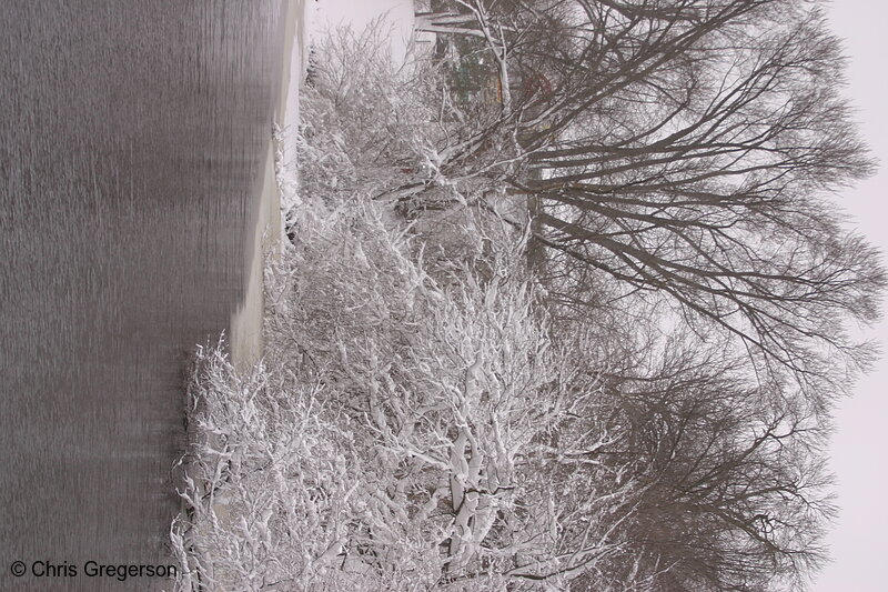 Photo of Riverbank in Winter after a Snowstorm(4998)