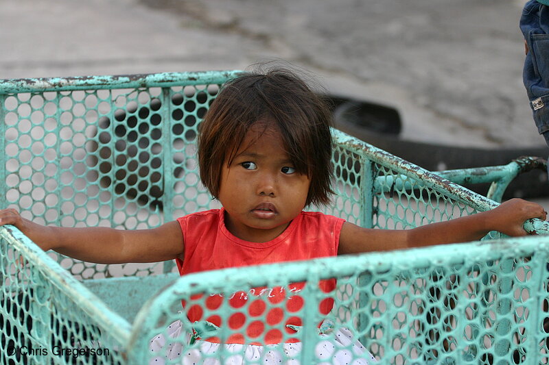 Photo of Young Girl in Bicycle Sidecar(5004)