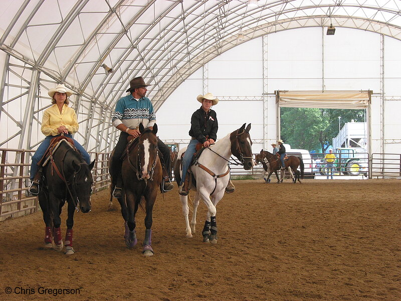 Photo of Horses in the Warm-Up Pen, State Fair(5324)