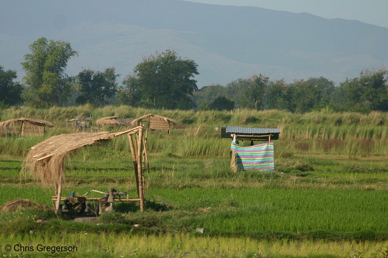 Photo of Idle Rice Field in Tarlac Near a Mountain(5710)