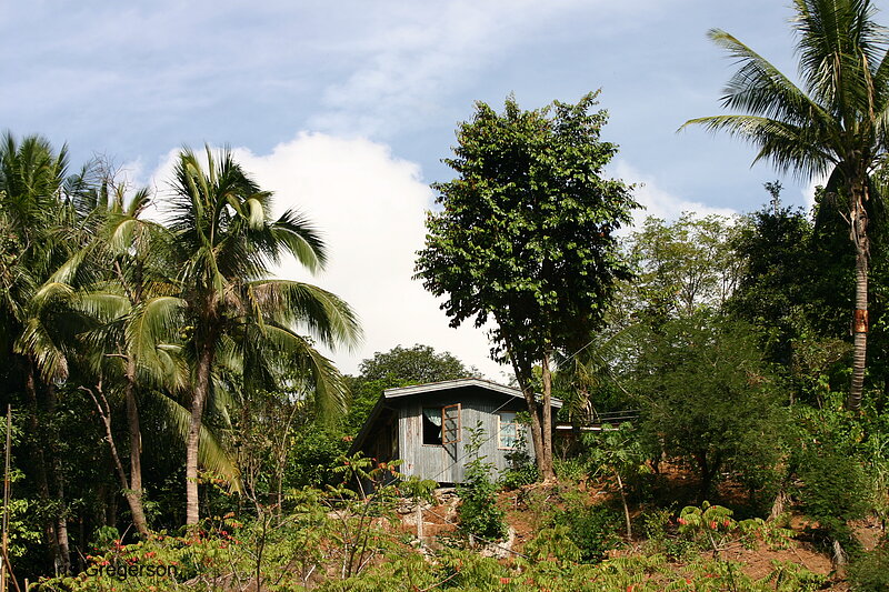 Photo of House on Top of a Small Farmed Hill(5717)