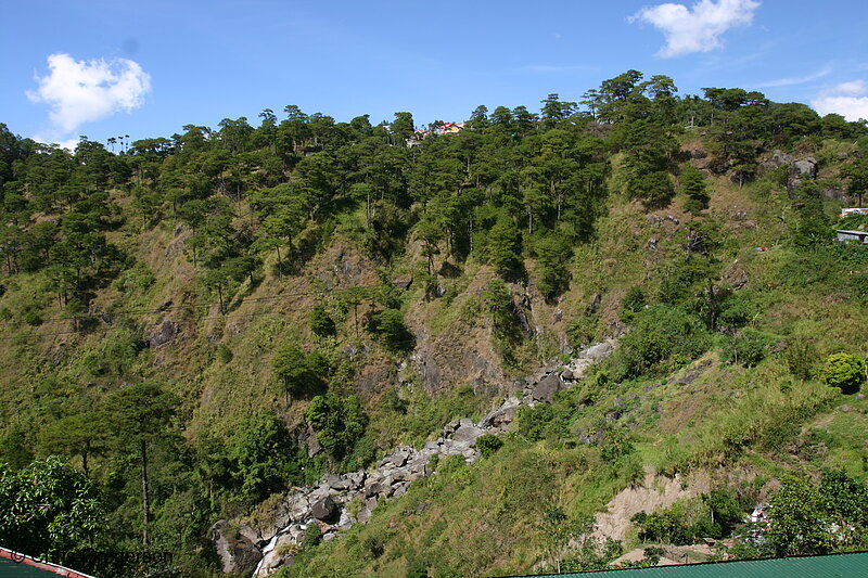 Photo of Trees Growing on a Beautiful Hill With a Stream(5723)