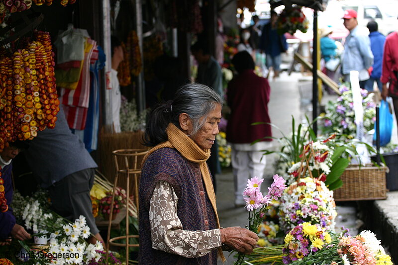 Photo of An Old Woman Selling Fresh Flowers in Baguio Public Market(5752)