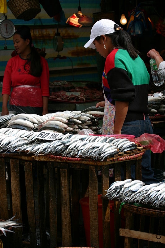 Photo of Fresh Fish in the Baguio Public Market, Baguio City, Philippines(5755)