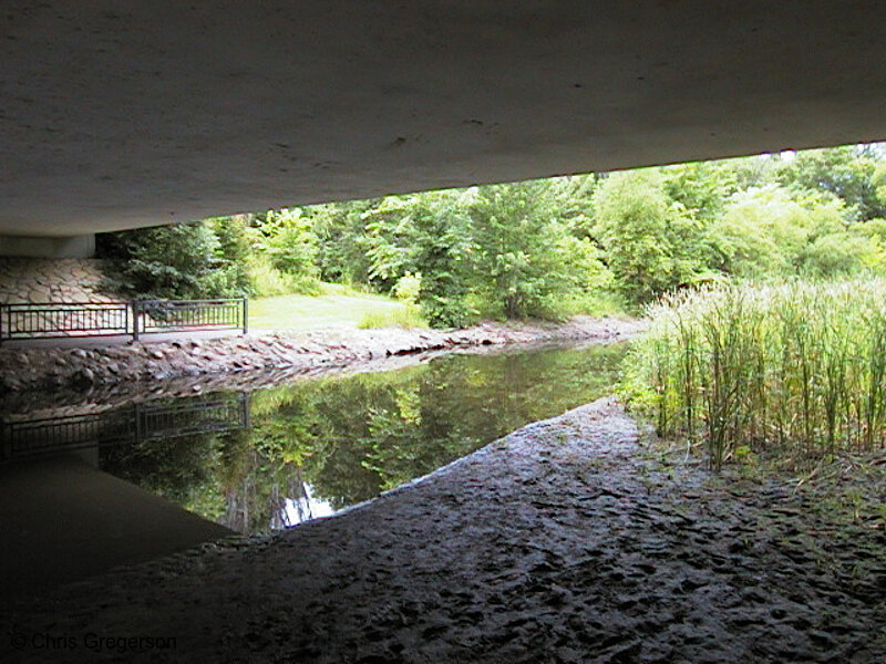 Photo of Creek and 34th Avenue Overpass(576)