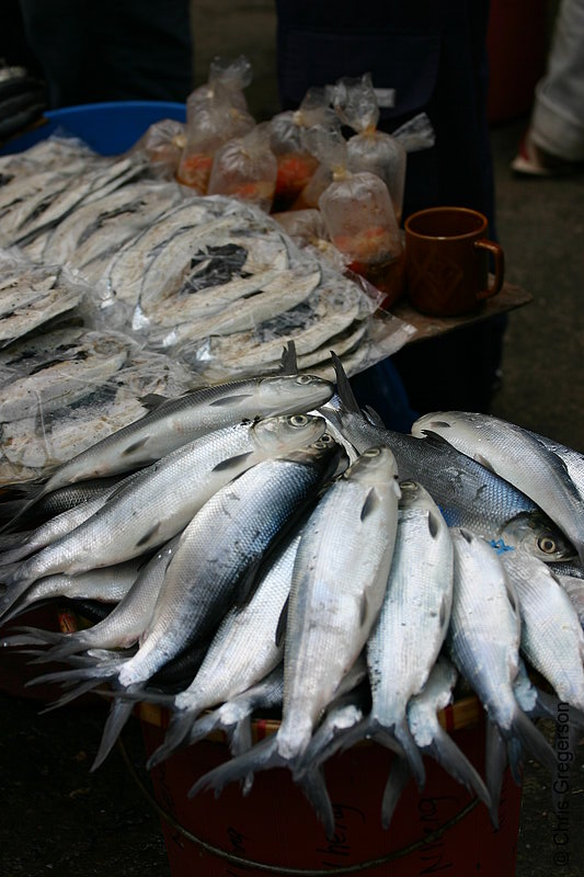 Photo of A Display of Fresh Milkfish and Atchara for Sale in Baguio Public Market(5779)