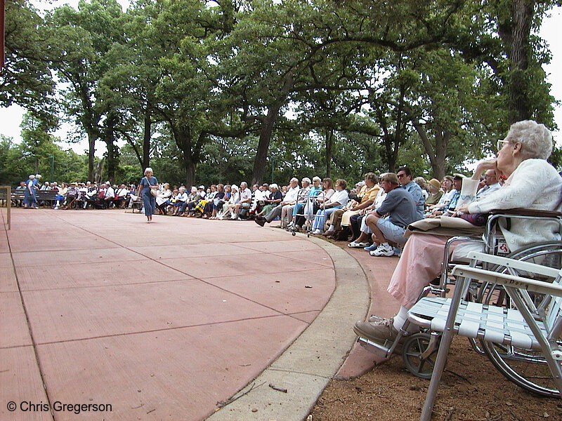 Photo of Audience at Svenskarnas Dag (Swedish Day)(594)