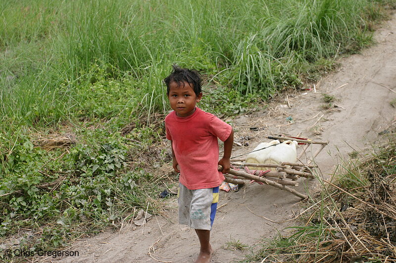 Photo of Young Boy Hauling Jugs of Water on Sleigh(5986)